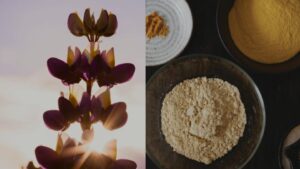 Meet the newest South American superfood in our portfolio: Chocho