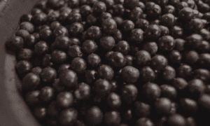 Spray drying vs freeze drying: how this impacts açai powder performance