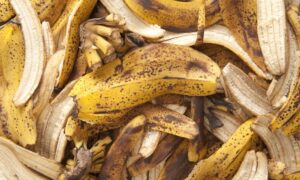 Upcycling is shaping the future of food innovation