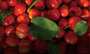 Acerola and the clean label movement: the science behind natural vitamin C