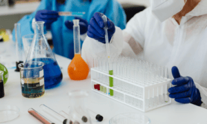 Polyphenol bioavailability: a joint effort that includes the food industry