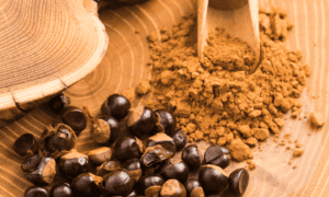 Guarana: the technical differences between natural and synthetic caffeine